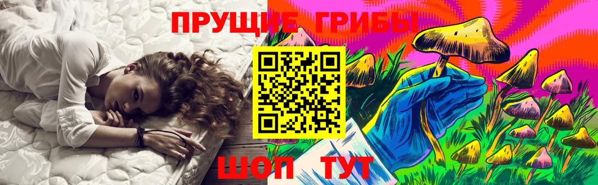 Псилоцибиновые грибы Cubensis Ишимбай